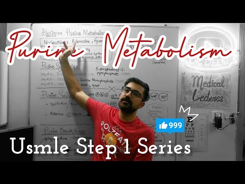 Purine Metabolism Simplified: Essential Biochemistry Breakdown (USMLE Step 1 Series)