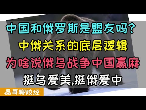 俄乌冲突中国赢麻：中俄是盟友关系吗？中俄关系的底层逻辑，为啥说俄乌真正最大赢家是中国？乌粉都爱美，俄粉是真挺俄吗？