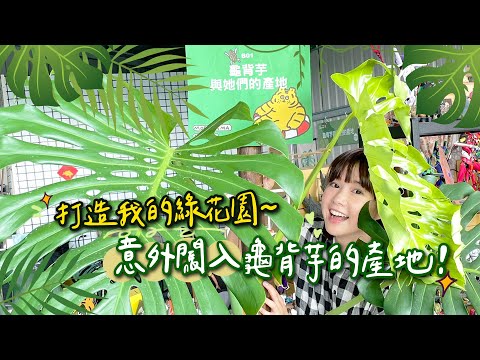 意外闖入龜背芋的產地！打造我的綠花園！🌼李佳穎