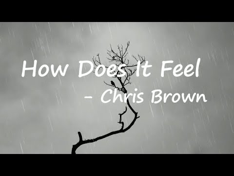 Chlöe, Chris Brown - How Does It Feel Lyrics