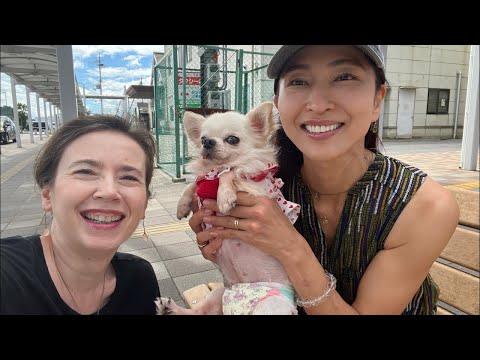 Introducing Momohime | Japanese Puppy Mill Rescue