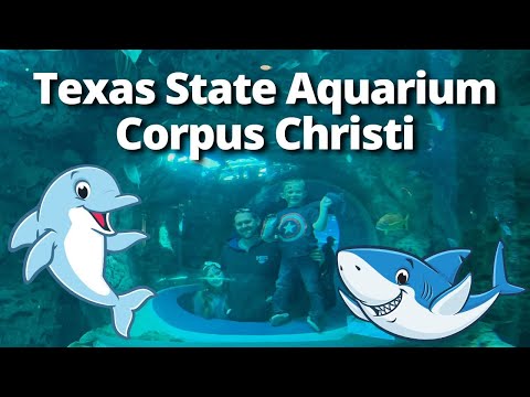 Texas State Aquarium in Corpus Christi, Texas