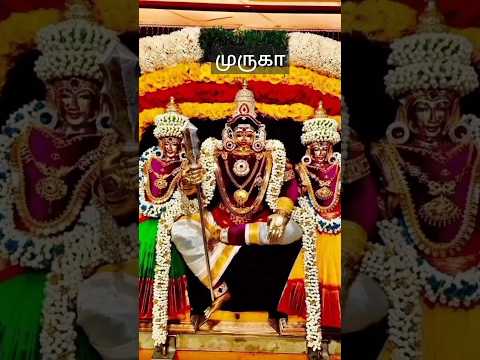 #MURUGA#APPAN#SANTHANAM#GOD#BAKTHI#DEVOTIONALVIRALVIDEO#TRENDINGSHORTS