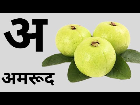 अ से अमरुद|| आ से आम|| क से कबूतर|| अआइईउऊ|| कखगघ|| हिंदी वर्णमाला|| a se anar|| aa se aam|| abcd,