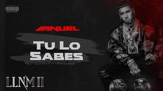 Anuel AA - Tu Lo Sabes (Visualizer Oficial) | LLNM2