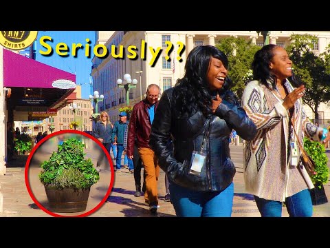 Bushman Prank 2020: Ultimate Best of Video!!