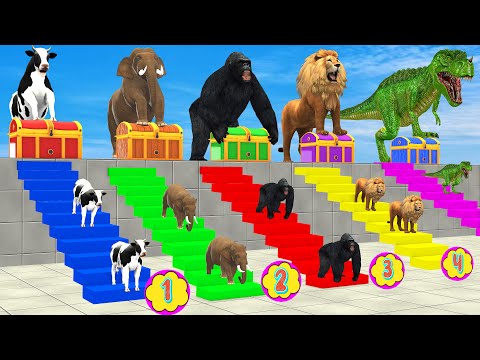 Cow Elephant Lion Gorilla Tiger T-Rex Don't Choose the Wrong Mystery Box! CHALLENGE Animals Game