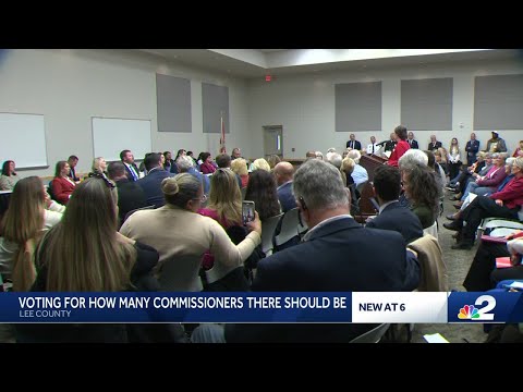 Lee Republicans disagree over single member districts