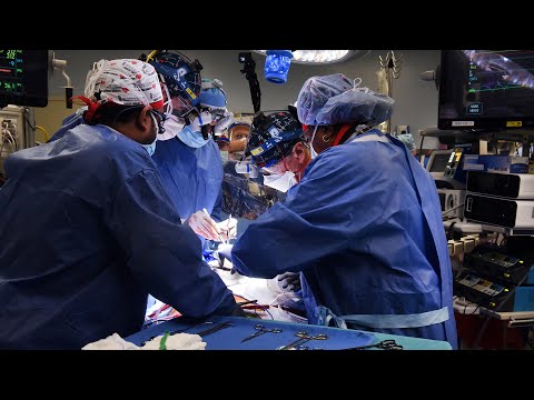 Pig Heart Beating Inside the Body of Transplant Recipient David Bennett - University of Maryland