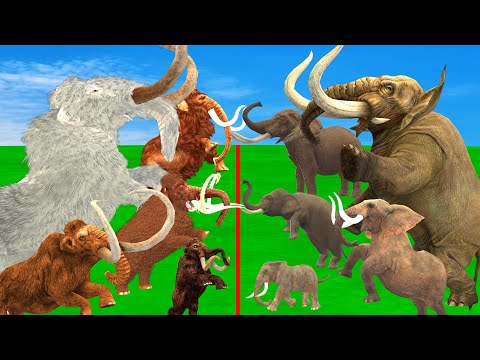 Woolly Mammoth vs Mastodon - Who Would Have Won a Fight? Prehistoric Mammals VS Prehistoric Animals