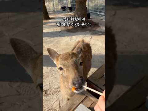 파더스가든 제주 필수 방문지?!