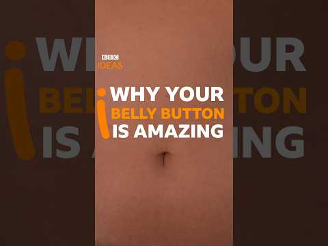 Do you have an innie or an outie? #BellyButton #Anatomy #BBCIdeas