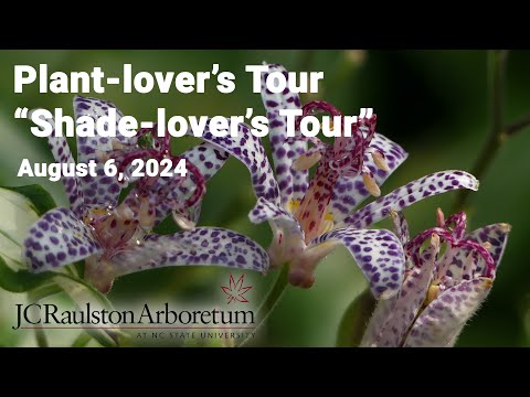 Plant-lover's Tour - "Shade-lover's Tour"