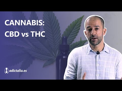 CANNABIS: CBD vs THC