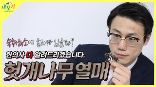 헛개나무 효능을 한의사가 전부 알려드립니다! 숙취해소에 과연 효과가 있을까요