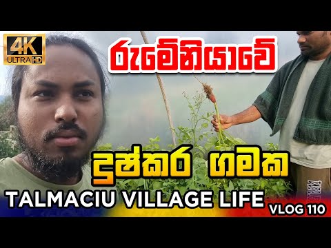 I Spent 24 Hours in Talmachu Village, Romania|දුෂ්කර ගමක අත්දැකීම 🇷🇴