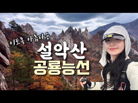 설악산국립공원 #공룡능선 #대청봉🍁(ft. 오색 단풍길) 등산 브이로그 | 혼산 | 가을산행 | 강원도 | 여행 | 단풍 | 하이킹 | 트레킹 | hiking | trekking