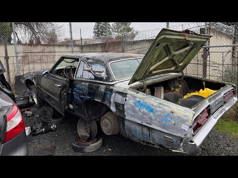 1969 Ford Thunderbird at Junkyard