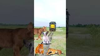 Safe the Animals from train