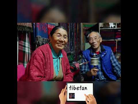 Tibetan TIB/ENG #CoursTibétain #Gratuit #ApprendreLeTibétain #TibétainDébutants #Free #Éducation#ias