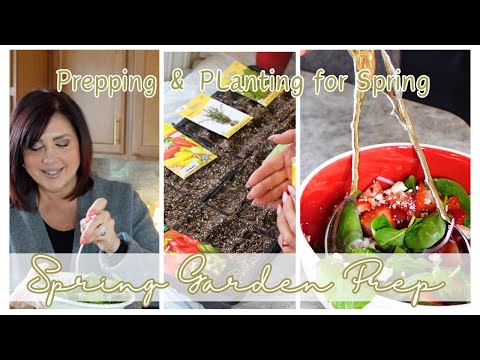 🪴Spring Garden Prep | Shopping for New Garden Supplies | Seed Sowing | 🍓Delicious Strawberry Salad