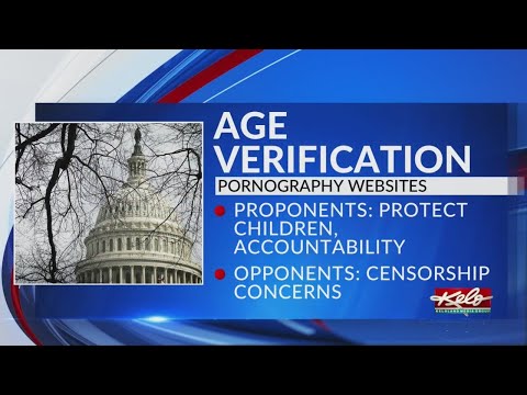 Arguments around age verification for porn sites in SD