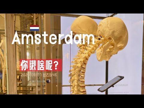 出去玩46-阿姆斯特丹古老但并不大的大博物馆 ARTIS- Groote Museum | 荷兰旅游 | 胖仔的荷兰日记 Pangzai's diary 20230807