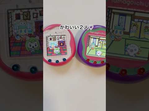 ねりあっち＆うーぱっち‎ #tamagotchi #tamagotchiuni #たまごっちユニ #たまごっち #shorts