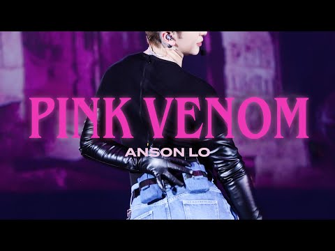 250213/16 Katch the Pop《Pink Venom》盧瀚霆 Anson Lo Focus Multi Fancam 4K