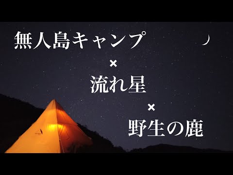 【無人島✖️流れ星✖️野生の鹿】極寒の無人島で参鶏湯（サムゲタン）を作り焚き火に癒される！