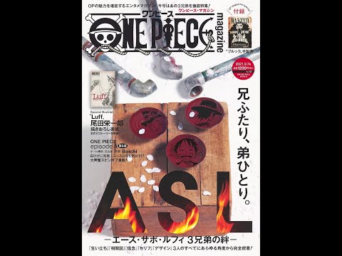 【紹介】ONE PIECE magazine Vol 12 集英社ムック （尾田 栄一郎）