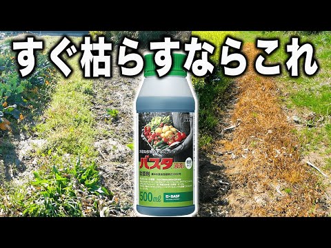 早く雑草を枯らすならバスタを使おう【除草剤】散布後から２０日までの経過を見せます