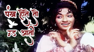 Pankh Hote To Udd Aati | Lata Mangeshkar Songs | Sandhya | V Shantaram | Sehra 1963