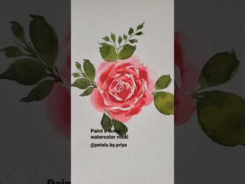 Paint a Loose Watercolor Rose!