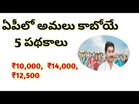 AP new schemes update|new schemes after Panchayat elections2021|AP new scheme in March|