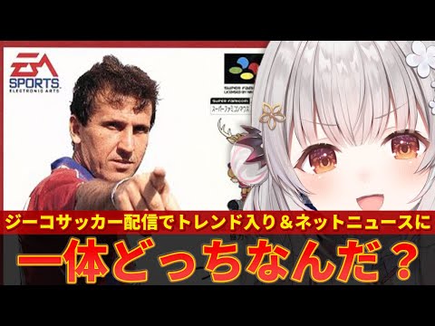 【周防パトラ】「ジーコサッカーなのに、なんでジーコサッカーやってるんだ！」と言われてしまうｗｗ【ずんだもん解説】