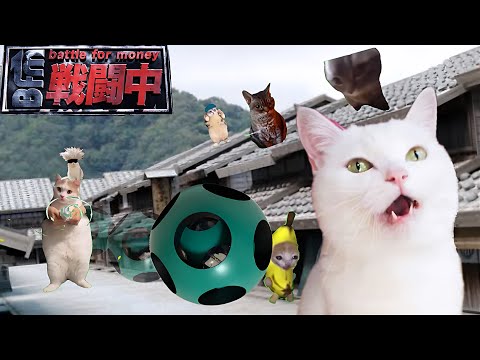 戦闘中をすることになった猫たちの日常Part2【猫ミーム】【猫マニ】