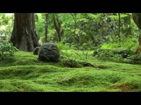 京都 大原  Ohara Kyoto Japan 【京都市 左京区 大原】