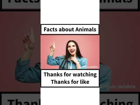 Amazing facts about Animals #Top5facts #hindifacts #newfacts #Facts2022 #shorts #ytshorts #trending