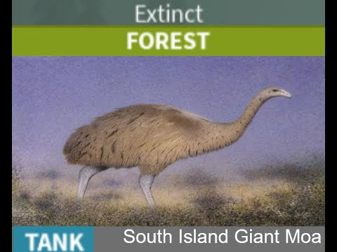 What if the South Island Giant Moa was added to Holocene Mobile?