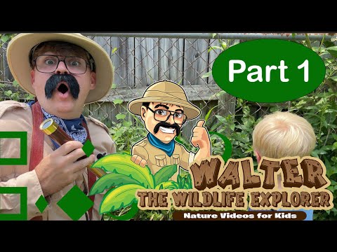 Backyard Bug Safari [Extended Scenes Part 1]: Exploring Nature with Kids!