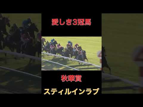 愛しき3冠馬スティルインラブ【競馬】#競馬#スティルインラブ