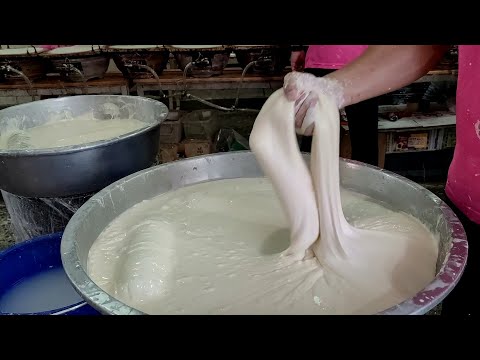 The master of making spring roll wrappers,Barbecued Pork Spring Rolls /春捲皮製作,叉燒春捲-Taiwan Street Food