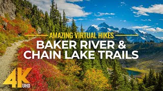 4K Virtual Hike Near River through the Forest - Baker River Trail & Chain Lake Trail