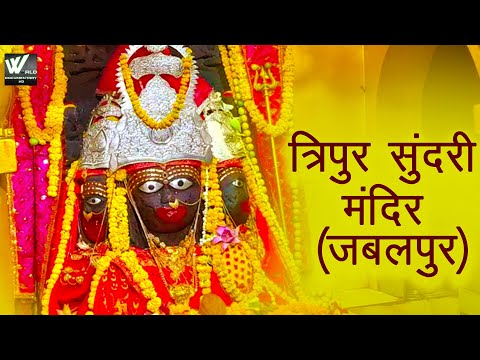 त्रिपुर सुंदरी मंदिर जबलपुर - Tripura Sundari Jabalpur | madhya pradesh | jabalpur navratri