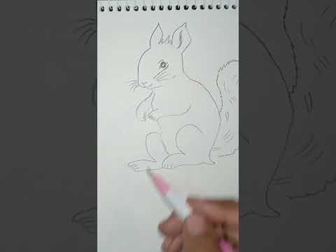 squirrel drawing| drawing of squirell @Snehart45