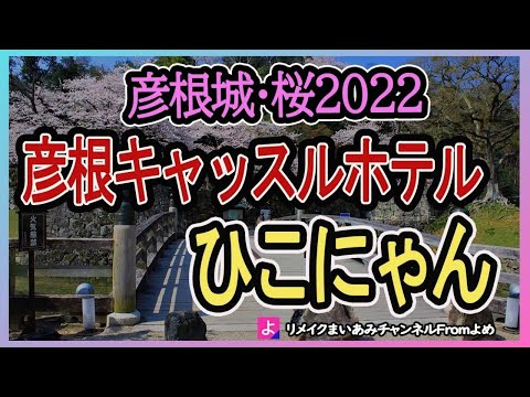 【彦根城】彦根城桜2022年春とひこにゃん、彦根キャッスルホテル