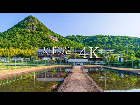 [A sanctuary that bestows victory and good fortune] Visit Tarobogu Shrine - JAPAN in 4K