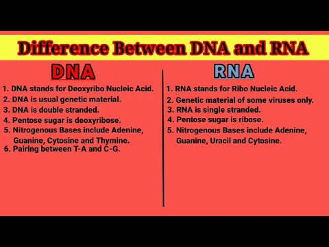 Difference Between DNA and RNA. || Nucleic Acid || Genetic Material , in Hindi, #biology  #science