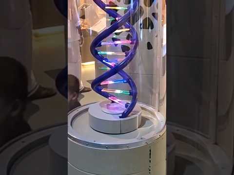 DNA Model by Watson & Crick | #kotacoaching #nvsir  #nvsirmotion #motionkota #prasir